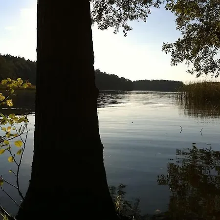 Romantisches Am Waldesrand Mit Gartensauna Schwarz (Mecklenburgische Seenplatte)