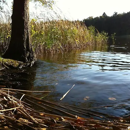 Romantisches Am Waldesrand Mit Gartensauna Schwarz (Mecklenburgische Seenplatte)