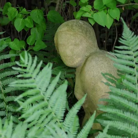 Appartement Romantisches Am Waldesrand Mit Gartensauna Schwarz (Mecklenburgische Seenplatte)