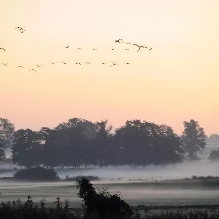 Appartement Romantisches Am Waldesrand Mit Gartensauna Schwarz (Mecklenburgische Seenplatte)