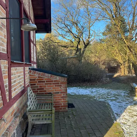 Romantisches Am Waldesrand Mit Gartensauna Schwarz