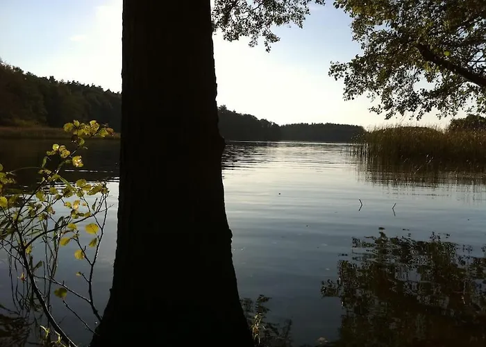 Romantisches Am Waldesrand Mit Gartensauna Schwarz (Mecklenburgische Seenplatte)