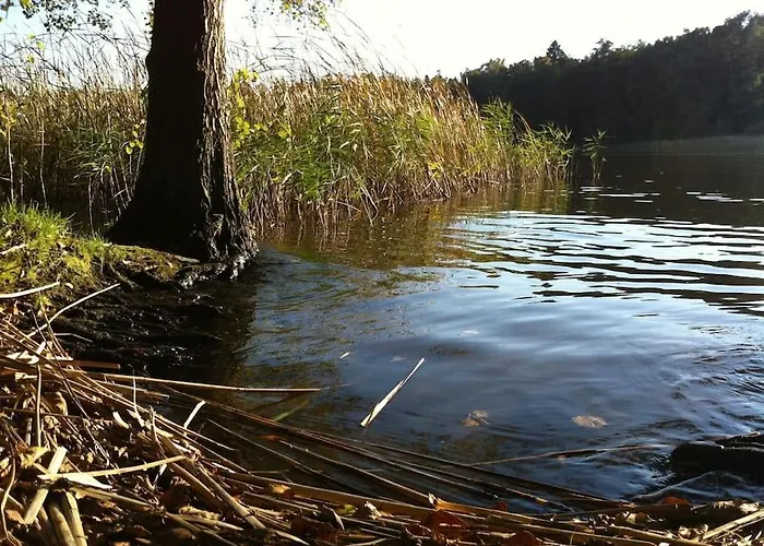 Romantisches Am Waldesrand Mit Gartensauna Schwarz (Mecklenburgische Seenplatte)