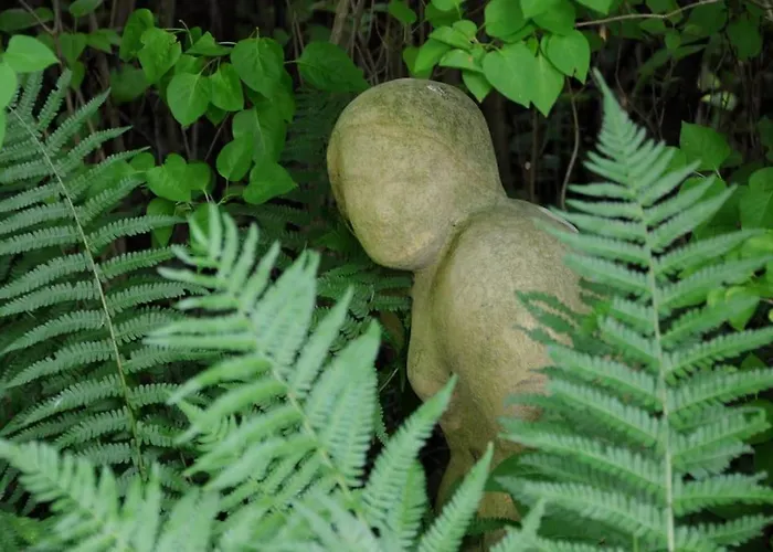아파트 Romantisches Am Waldesrand Mit Gartensauna Schwarz (Mecklenburgische Seenplatte)