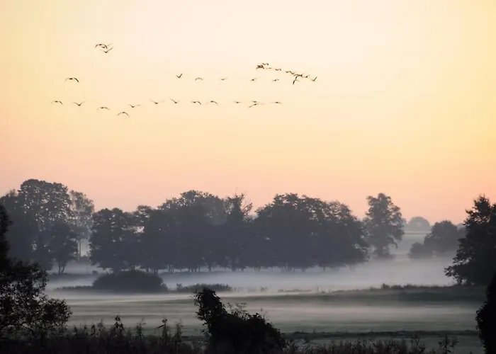 아파트 Romantisches Am Waldesrand Mit Gartensauna Schwarz (Mecklenburgische Seenplatte)
