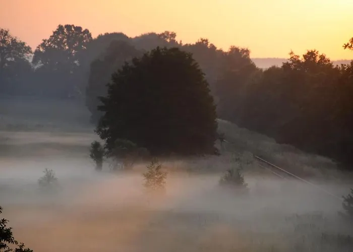 Romantisches Am Waldesrand Mit Gartensauna 아파트 *