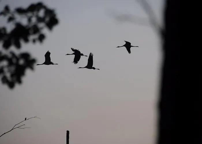 아파트 Romantisches Am Waldesrand Mit Gartensauna